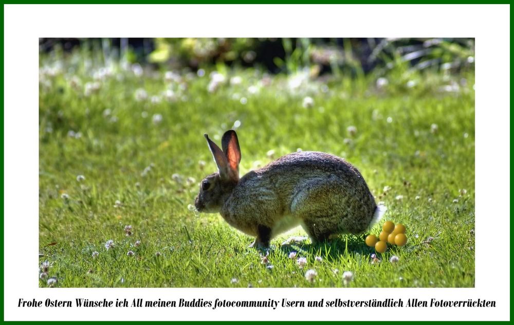 FROHE OSTERN !