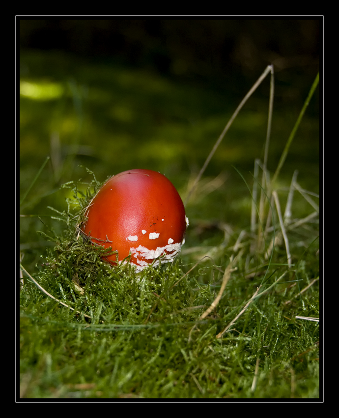 Frohe Ostern..........