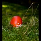 Frohe Ostern..........