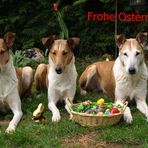 Frohe Ostern