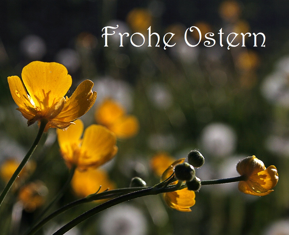 Frohe Ostern