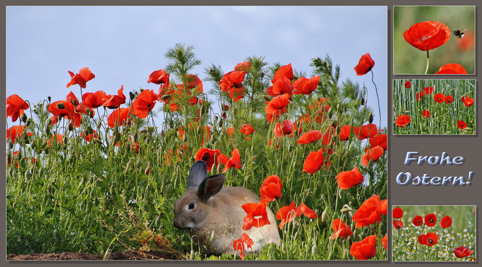 Frohe Ostern