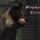 Frohe Ostern