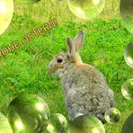 FROHE OSTERN!