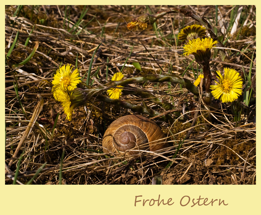 Frohe Ostern