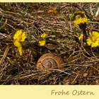 Frohe Ostern