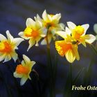 Frohe Ostern...