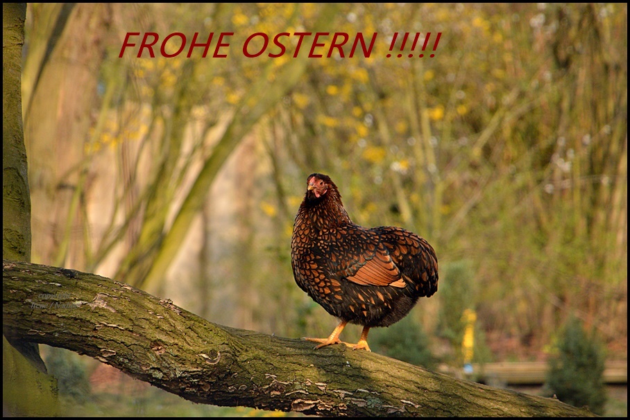 * Frohe Ostern *