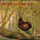 * Frohe Ostern *