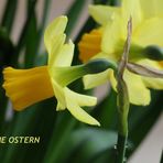 Frohe Ostern