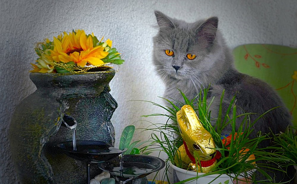 Frohe Ostern..