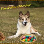 Frohe Ostern....