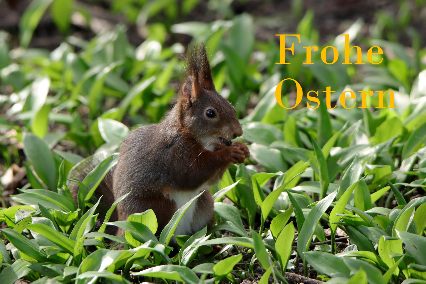 Frohe Ostern