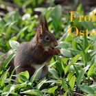 Frohe Ostern