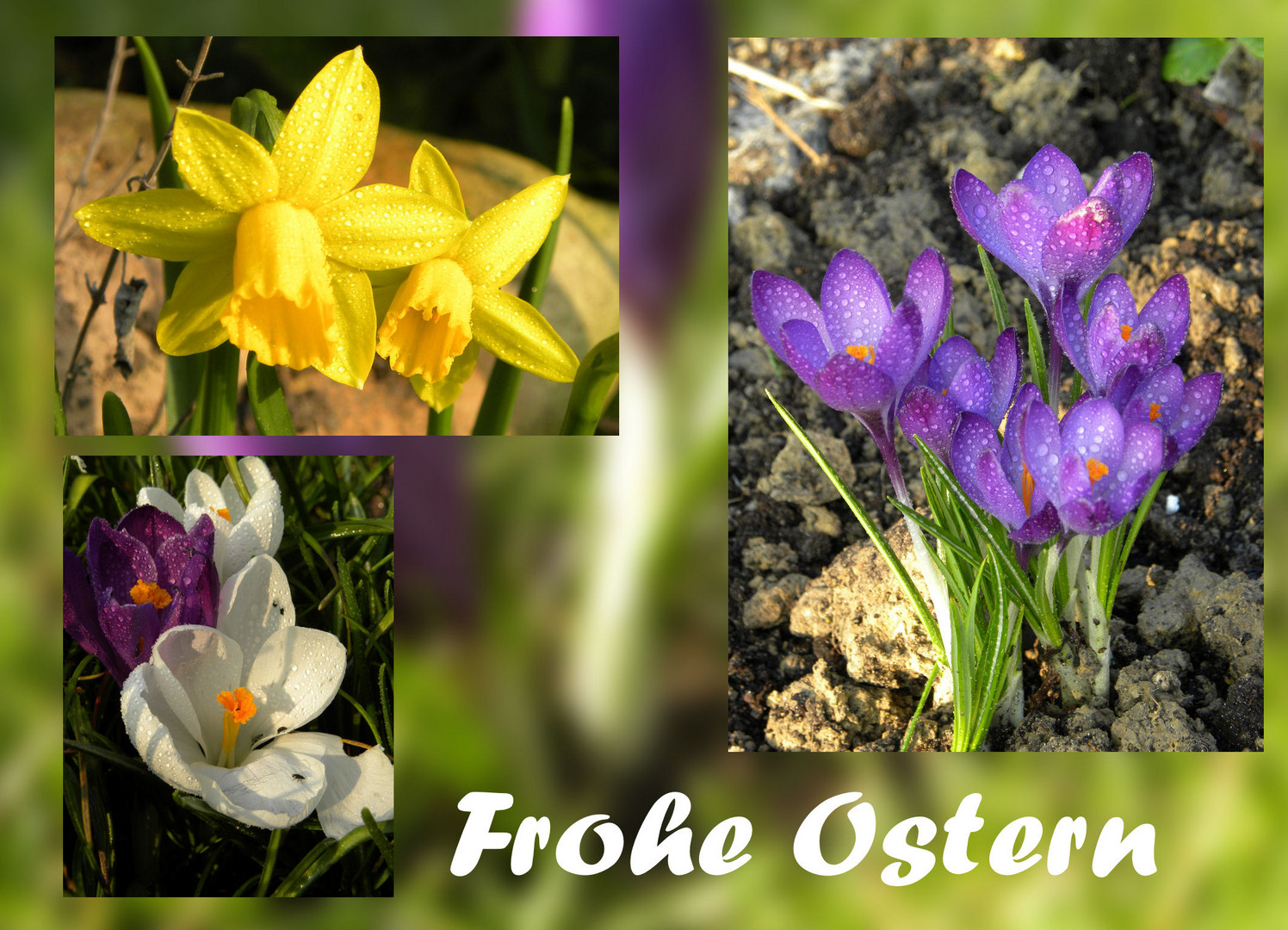 Frohe Ostern