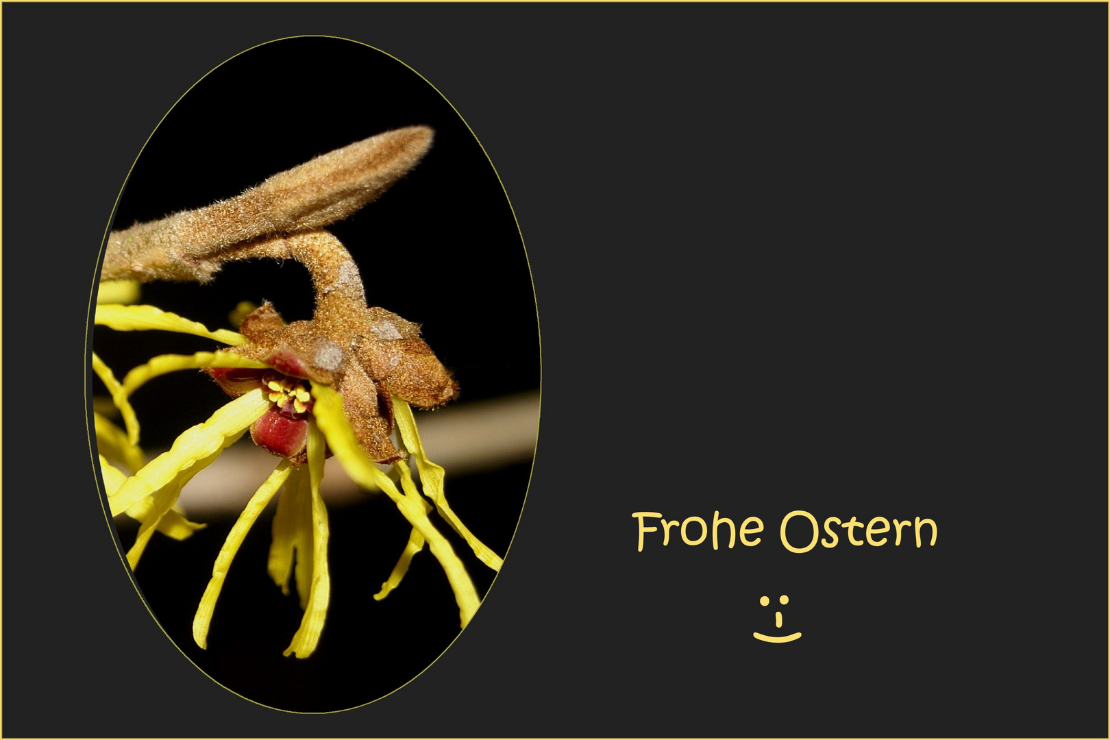 Frohe Ostern,