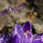 Frohe Ostern