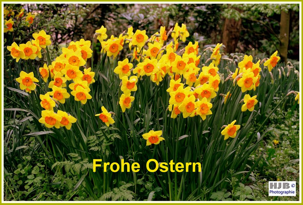 Frohe Ostern!