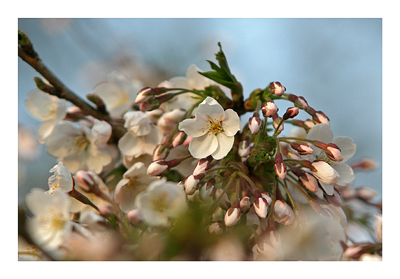 Frohe Ostern!