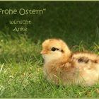 Frohe Ostern