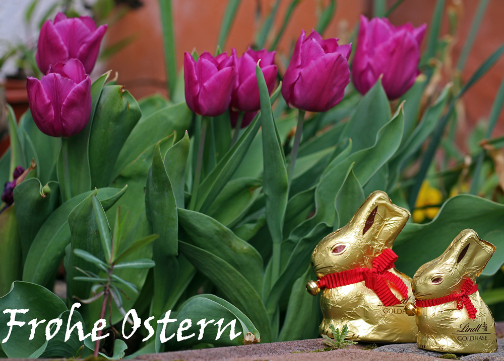 Frohe Ostern..