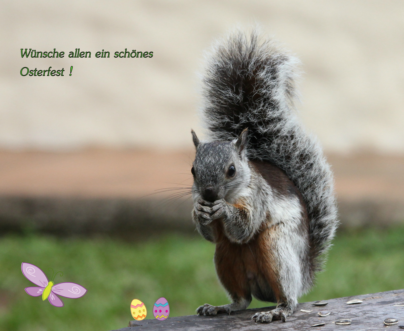 Frohe Ostern !