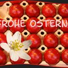 Frohe Ostern...