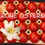 Frohe Ostern...