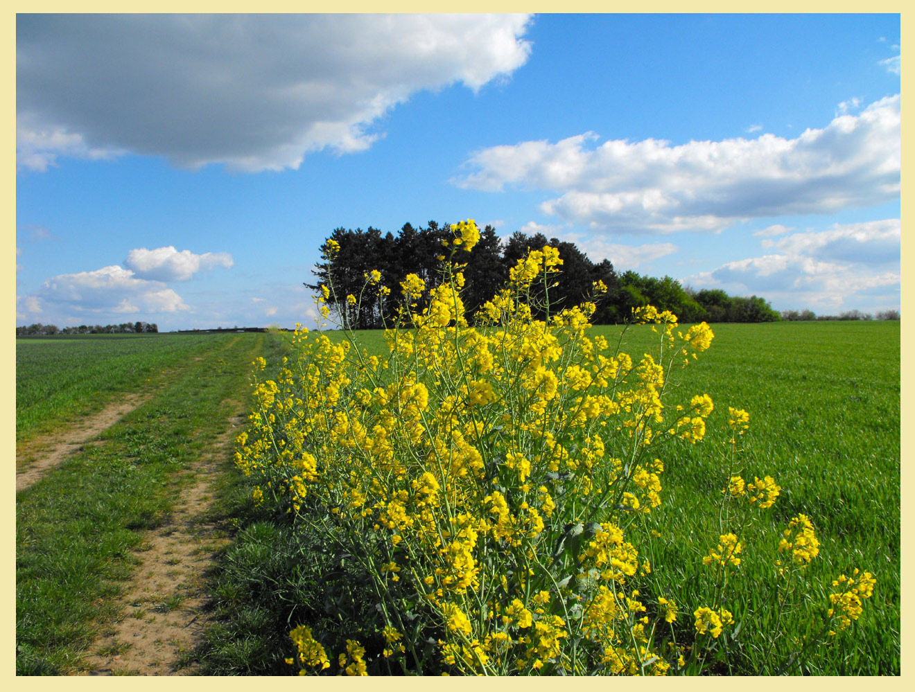 Frohe Ostern