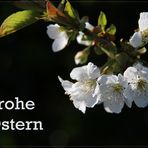 Frohe Ostern