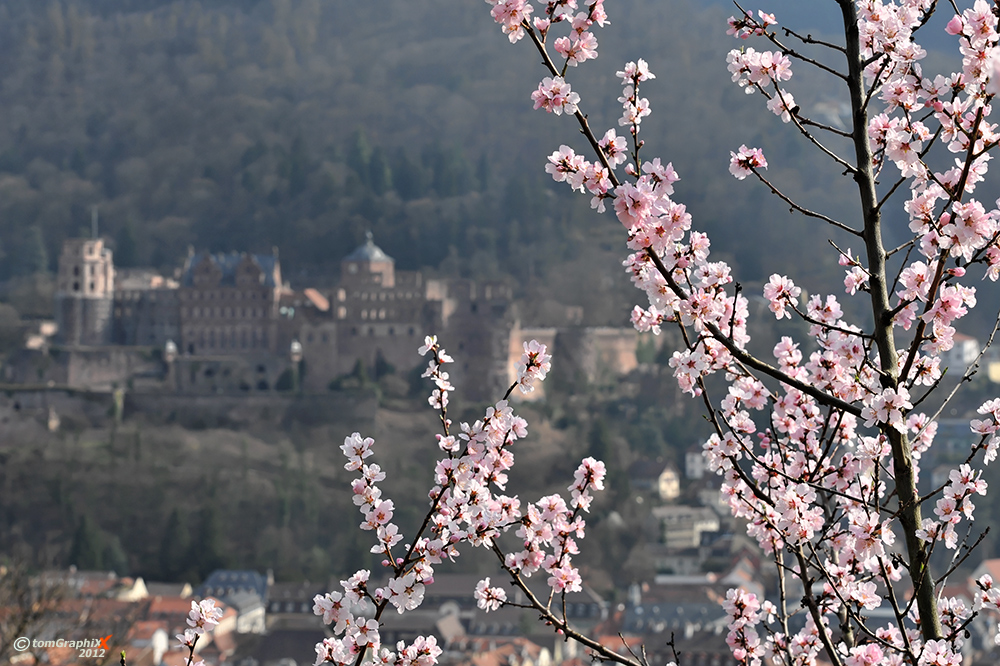 Frohe Ostern!