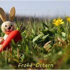 Frohe Ostern...