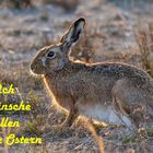 Frohe Ostern