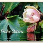 Frohe Ostern