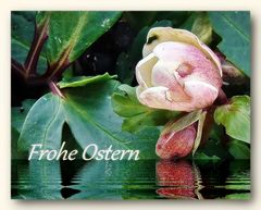 Frohe Ostern