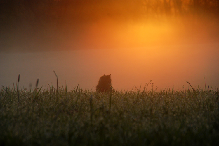 ~~Frohe Ostern~~