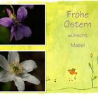 Frohe Ostern