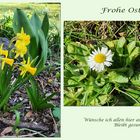 Frohe Ostern