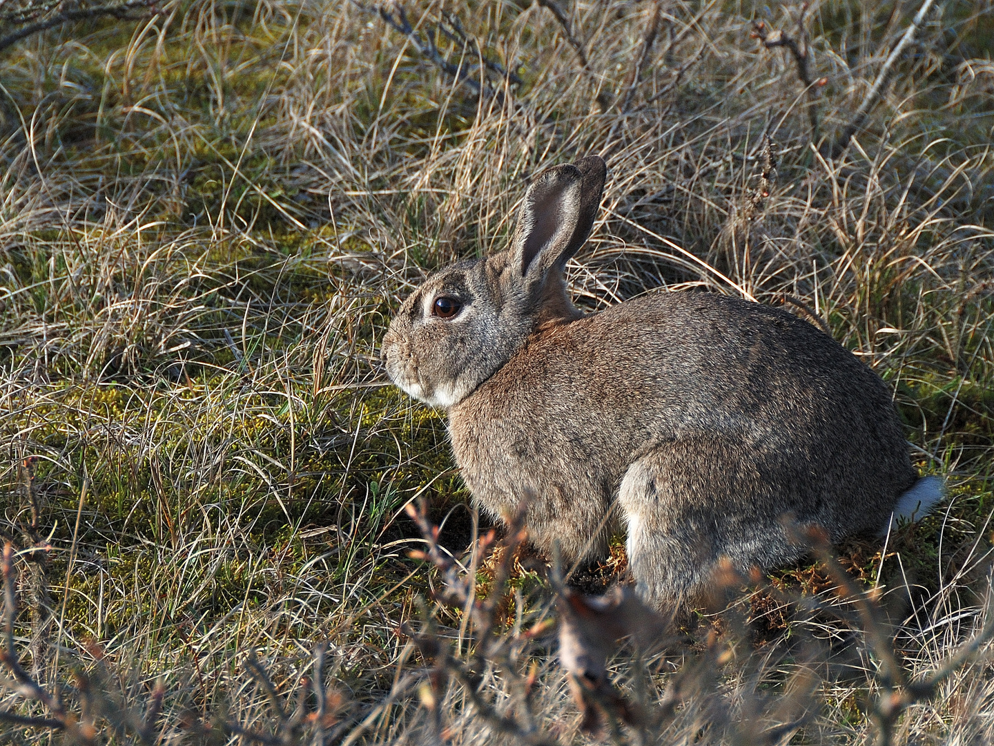 Frohe Ostern ...