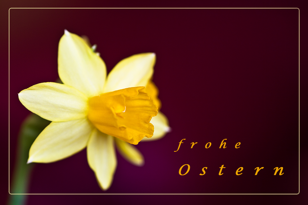 frohe Ostern