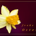 frohe Ostern