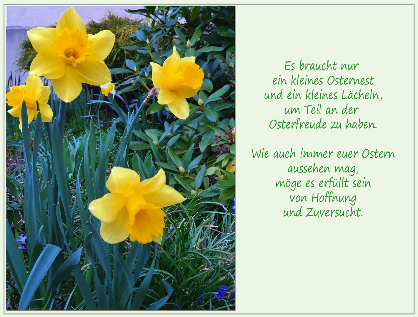 Frohe Ostern**