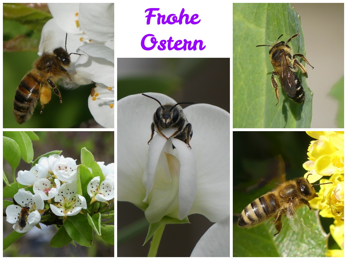 Frohe Ostern