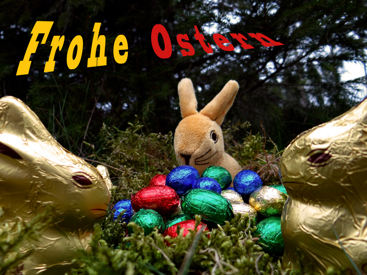 Frohe Ostern Foto Bild gratulation und feiertage Frohe Ostern Foto Bild gratulation und feiertage