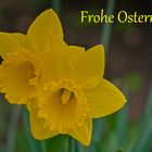 Frohe Ostern