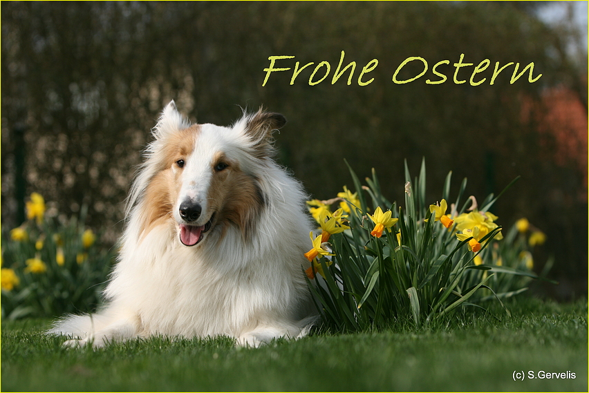 Frohe Ostern