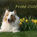 Frohe Ostern