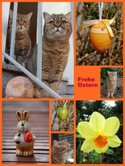 Frohe Ostern