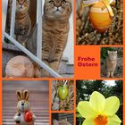 Frohe Ostern