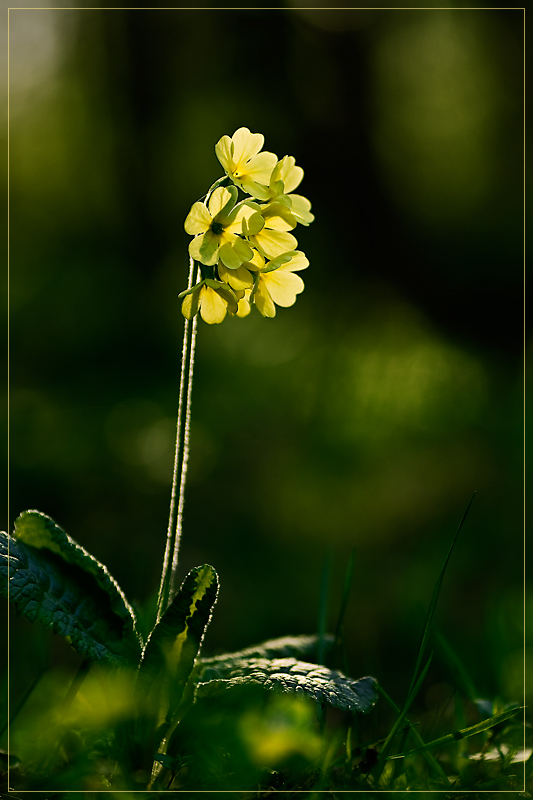 Frohe Ostern